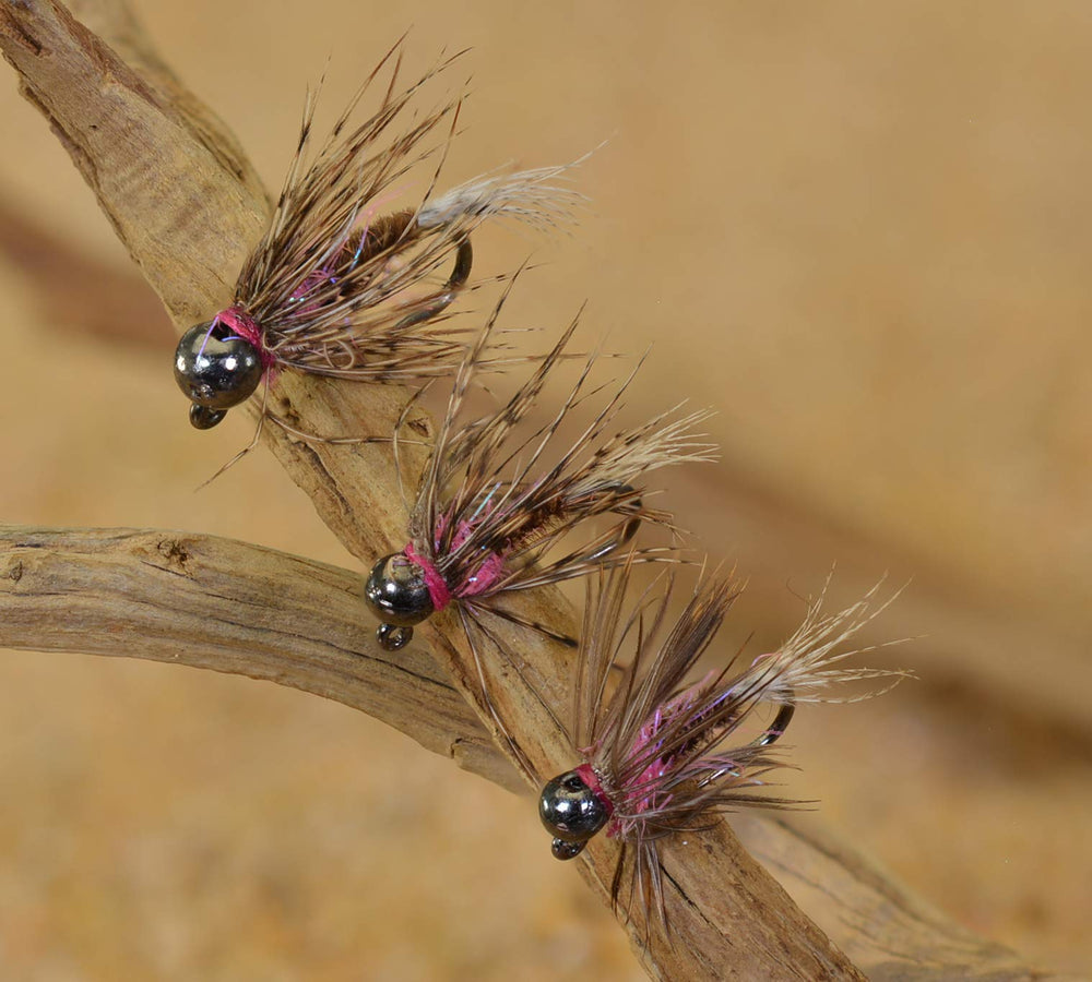 Region Fishing Tungsten Bead Frenchie Jig Fly close-up emphasizing weight for fast submersion