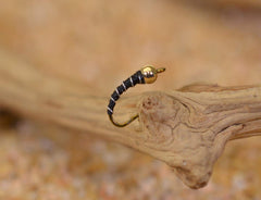 Region Fishing tungsten bead head black zebra midge fly for deeper depth and chironomid realism