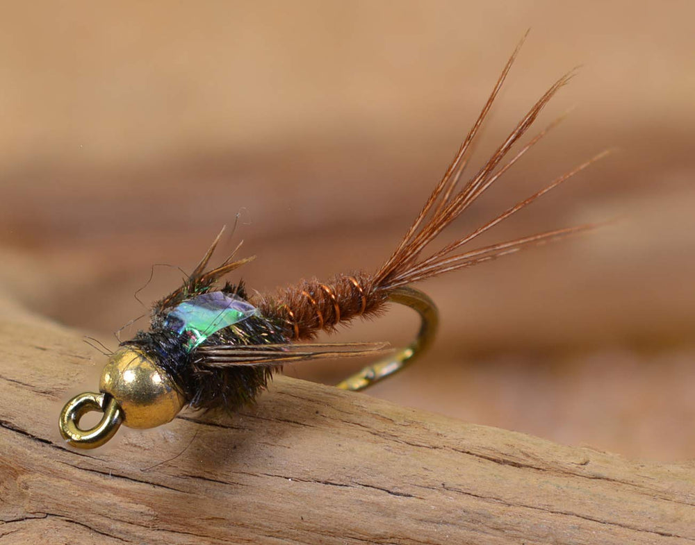 Region Fishing tungsten bead head pheasant tail mayfly nymph fly for fast sinking and versatile trout fishing