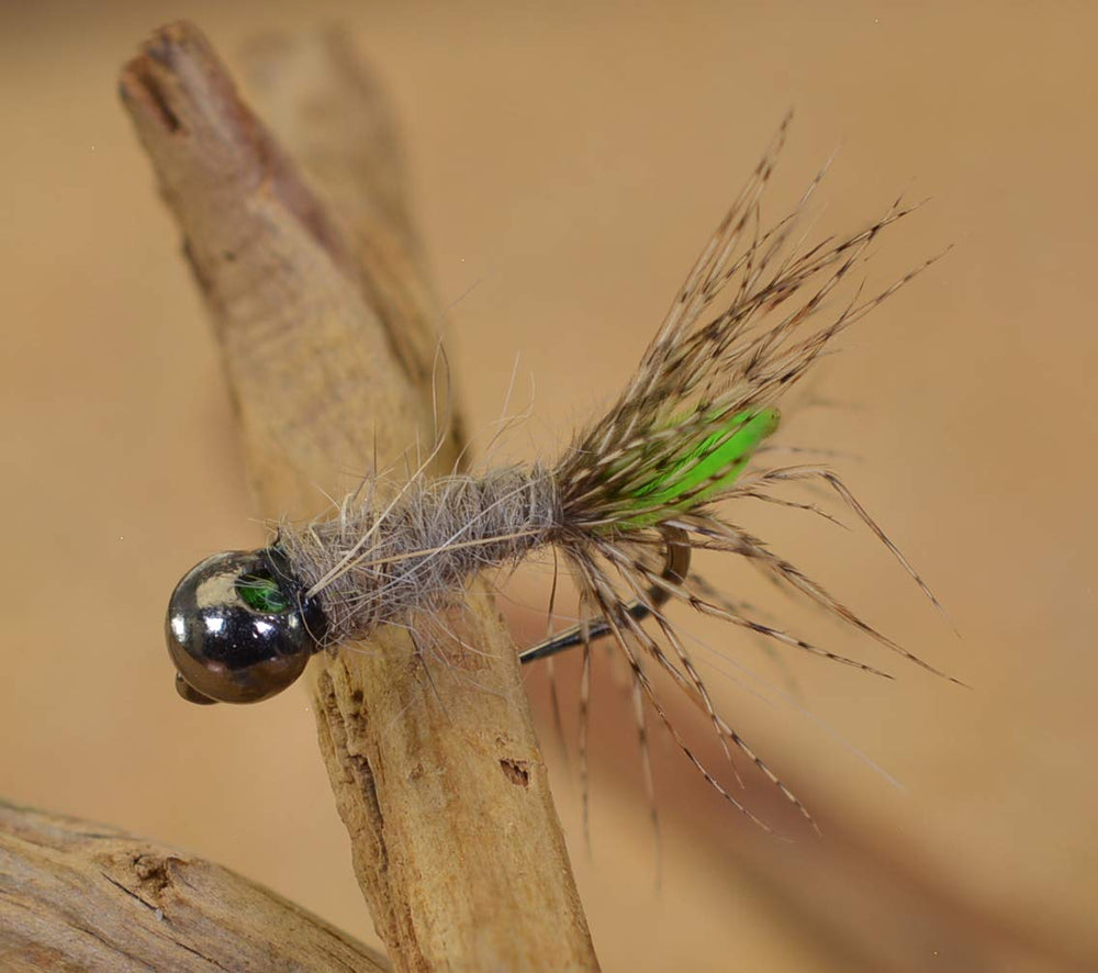 Region Fishing Tungsten Bead Peeping Caddis Jig Fly on Hanak hook, for faster feeding-lane presentation.