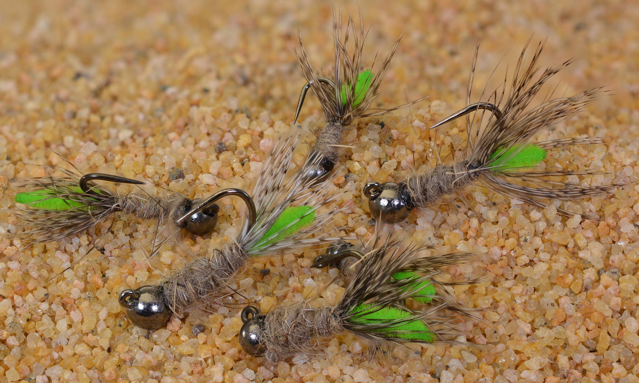 Region Fishing Peeping Caddis Jig Fly with tungsten bead for fast nymphing presentations