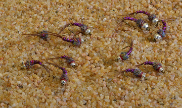 Region Fishing Rainbow Warrior Midge Nymph pack shot, twelve flies across sizes for versatile presentation