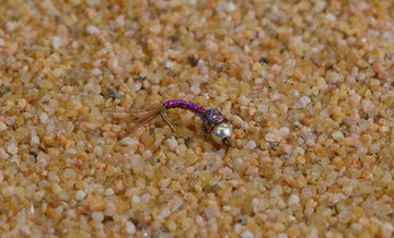 Region Fishing tungsten bead Purple Rainbow Warrior midge nymph sinks fast