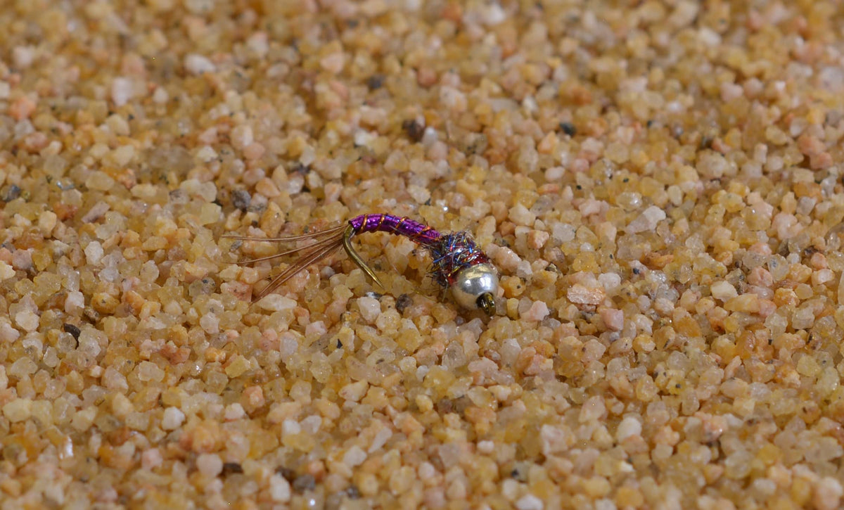 Region Fishing tungsten bead Purple Rainbow Warrior midge nymph sinks fast
