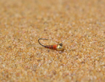 Region Fishing tungsten quill perdigon jig head fly for euro nymphing enhances depth control.