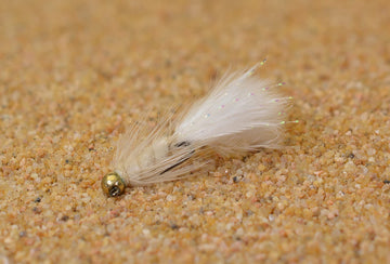 Region Fishing white Woolly Bugger close-up for visibility in clear water