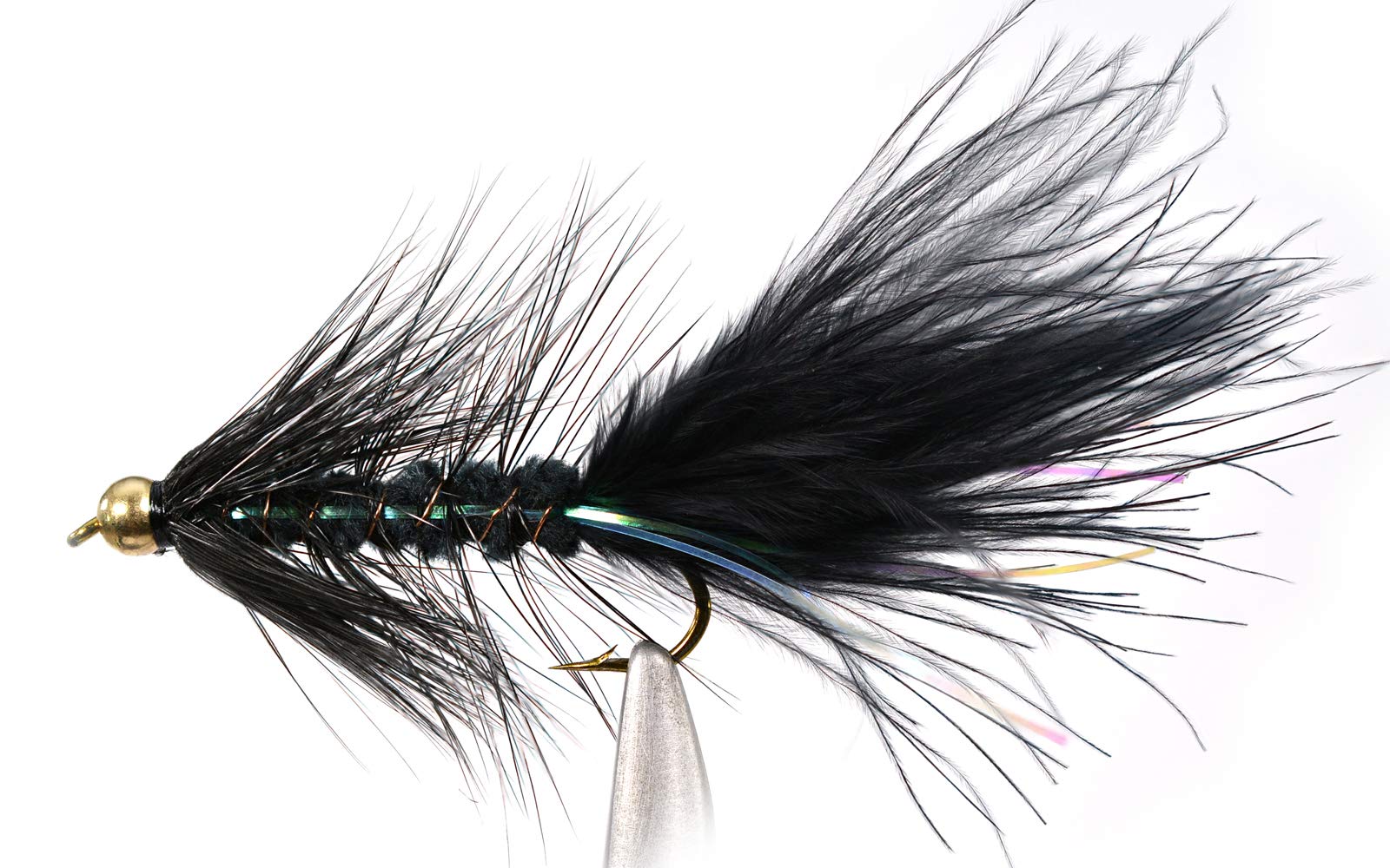 Region Fishing Woolly Bugger 6ct on Hook #8 shows versatile color patterns for year-round fishing.