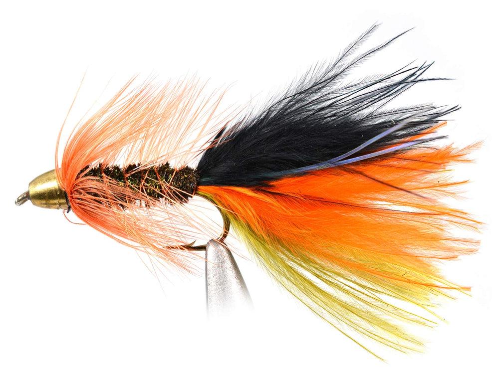 Region Fishing Woolly Bugger 12ct assortment on hooks 4-12 for year-round anglers.