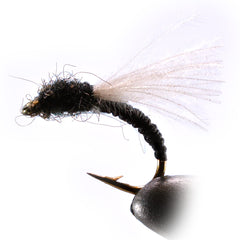 Region Fishing CDC Emerger Trico Nymph Fly front view for realistic trout imitation.