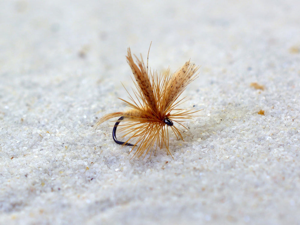 Region Fishing Light Cahill dry fly 12-fly assortment for trout fishing