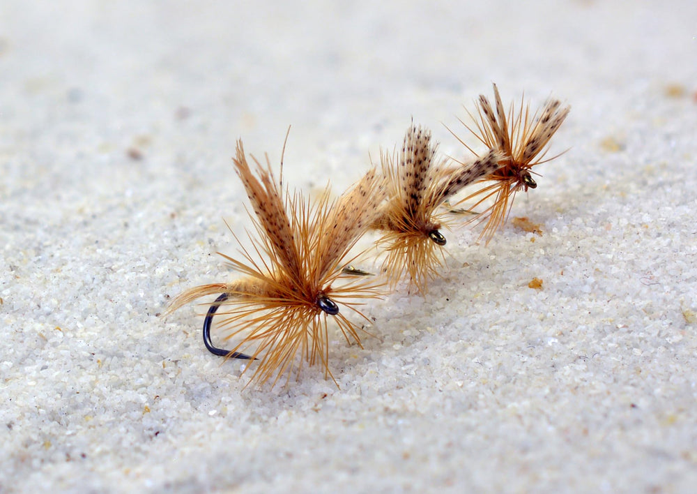 Region Fishing Light Cahill dry fly close-up on water for visibility