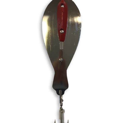 The Reliable Spoon 8-Inch Bunker Spoon Chrome in action for bass trolling
