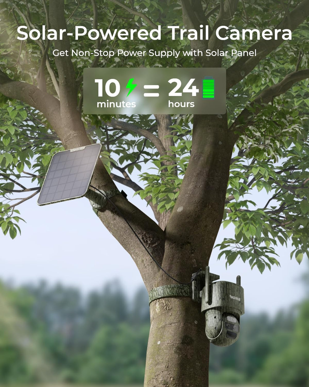 REOLINK 4K Dual-Lens LTE Trail Camera with PTZ Auto-Tracking & No-Glow ...