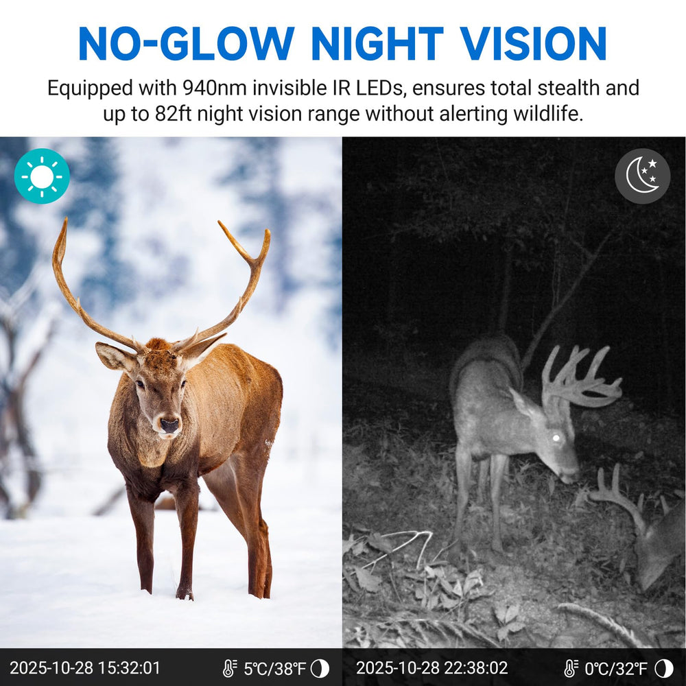 Rexsun 2K video and 33MP images deliver razor sharp wildlife detail.