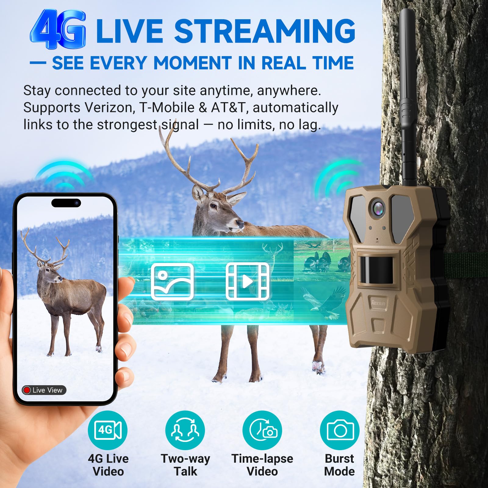 Rexsun AI detection identifies wildlife and alerts for humans or vehicles.