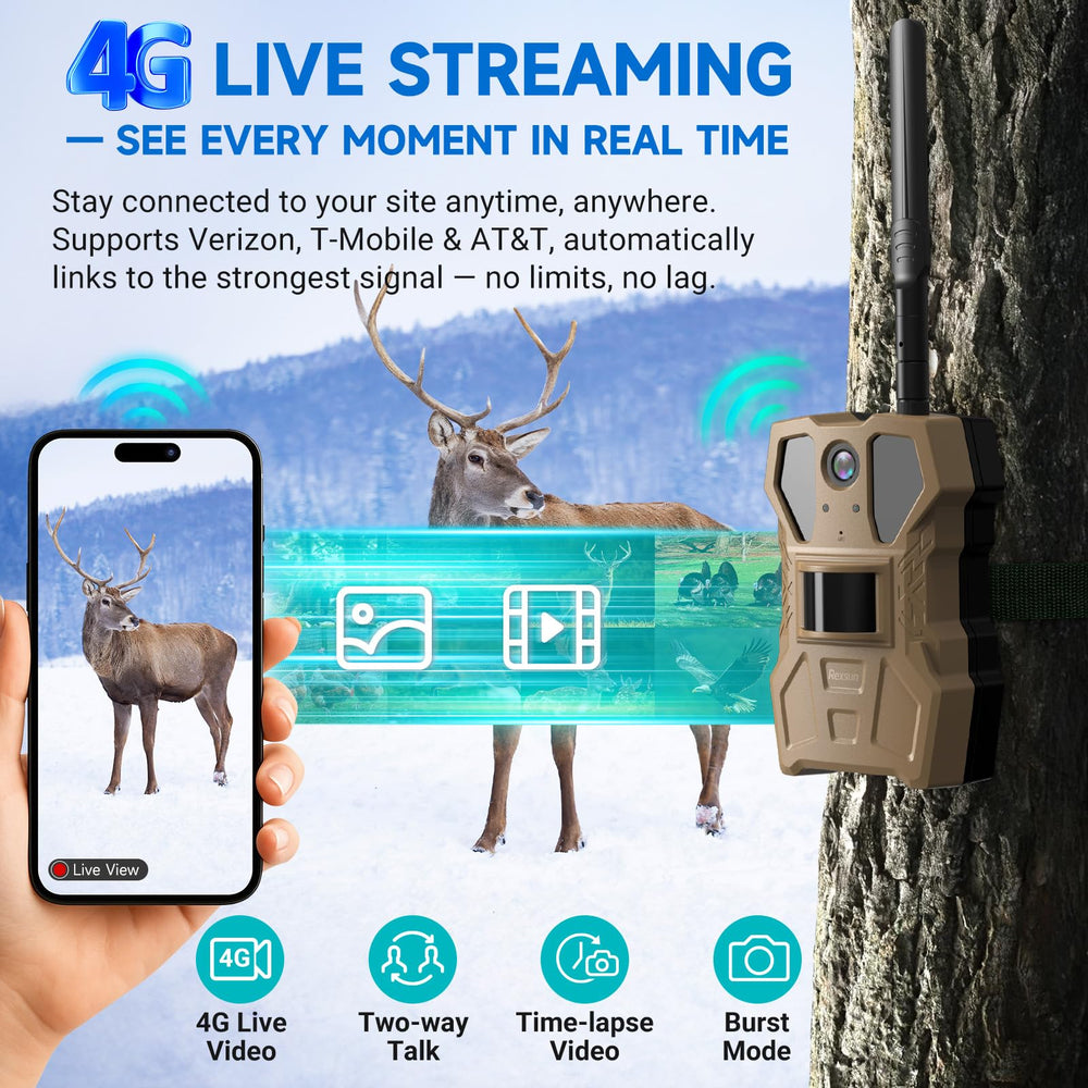 Rexsun AI detection identifies wildlife and alerts for humans or vehicles.