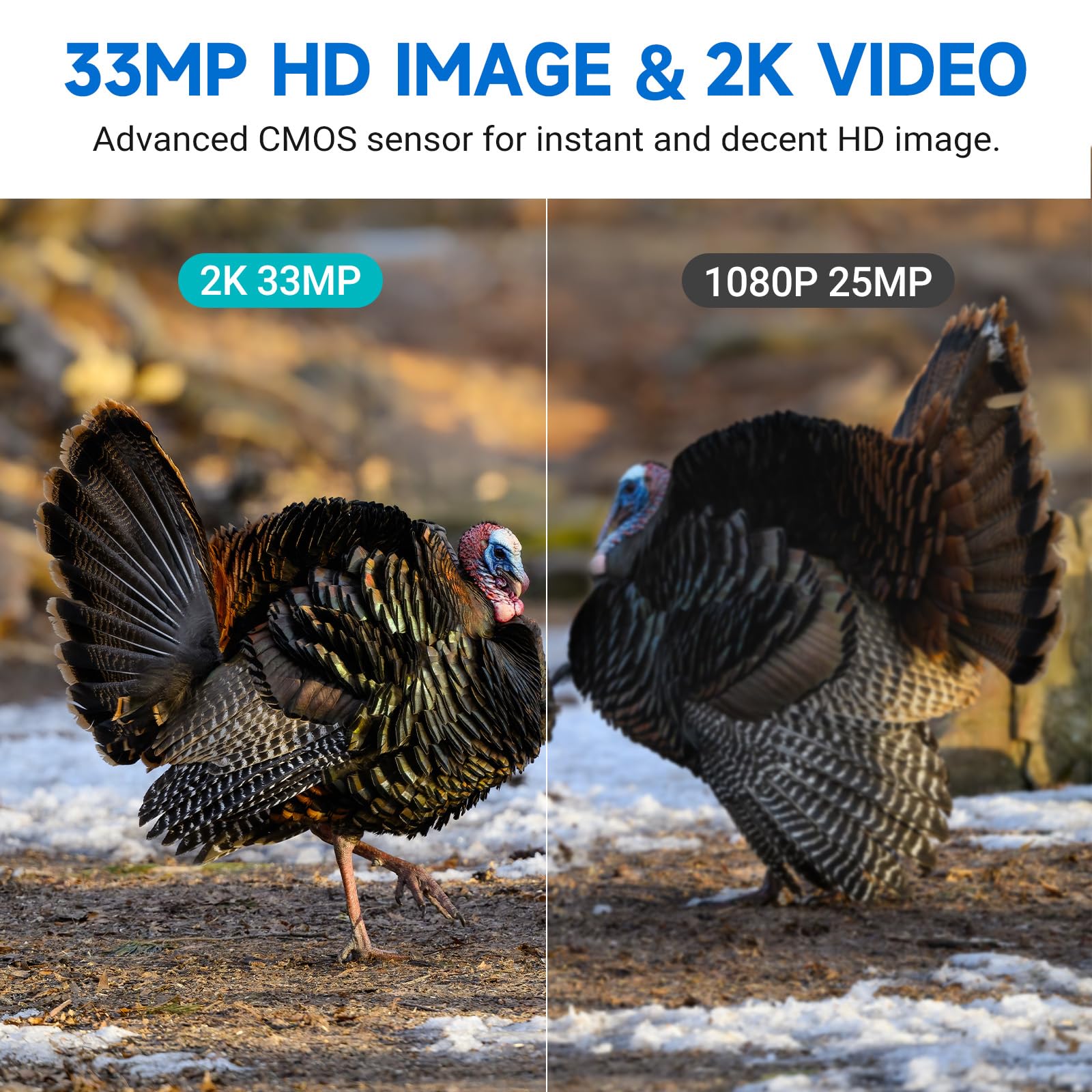 Rexsun invisible no glow night vision uses 940nm LEDs for discreet nighttime footage.