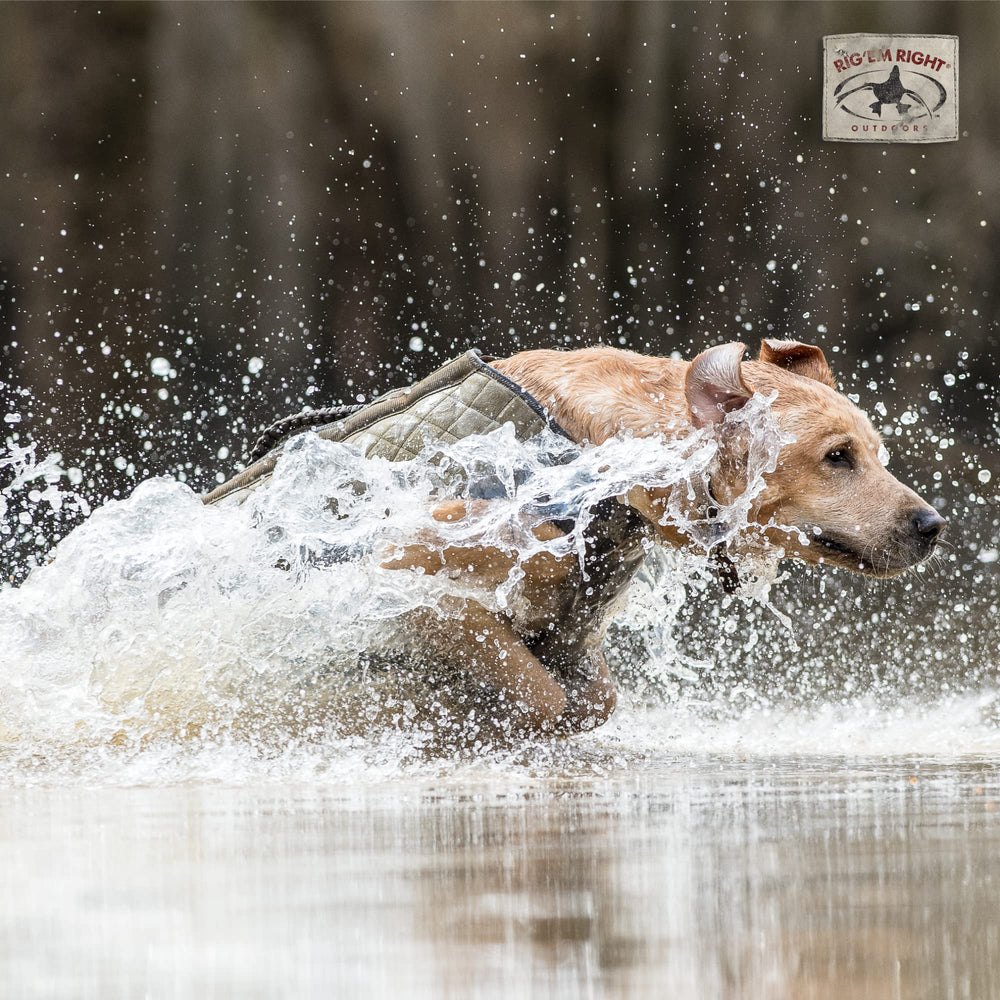 Rig Em Right Bloodline Elite vest features braided handle for buddy-back retrieves.