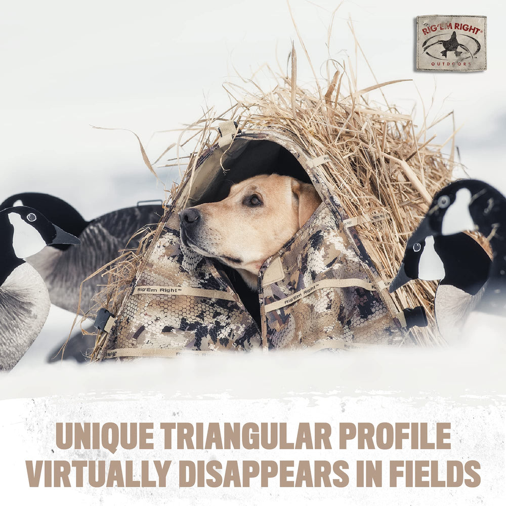 Rig'Em Right Bully Bird open dimensions demonstrate generous space and easy access.