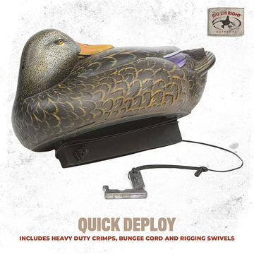Rig'Em Right bungee cords protect decoy paint while maintaining tension during storage.