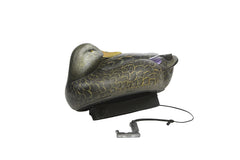 Rig Em Right J-Weight anchors with bungee cords demonstrate tangle-free storage.