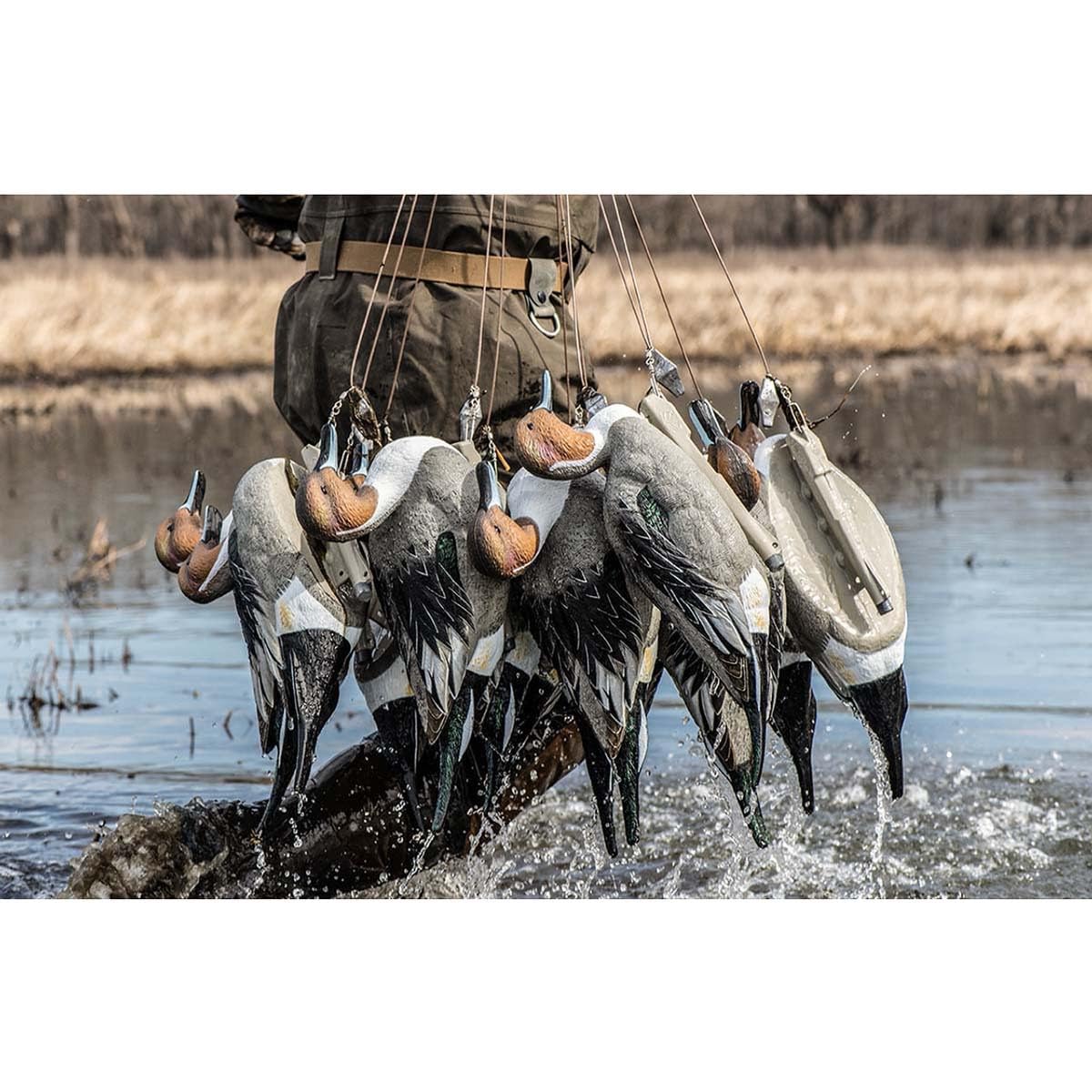 Rig Em Right pintail feeder drake decoy with balanced silhouette for spreads.