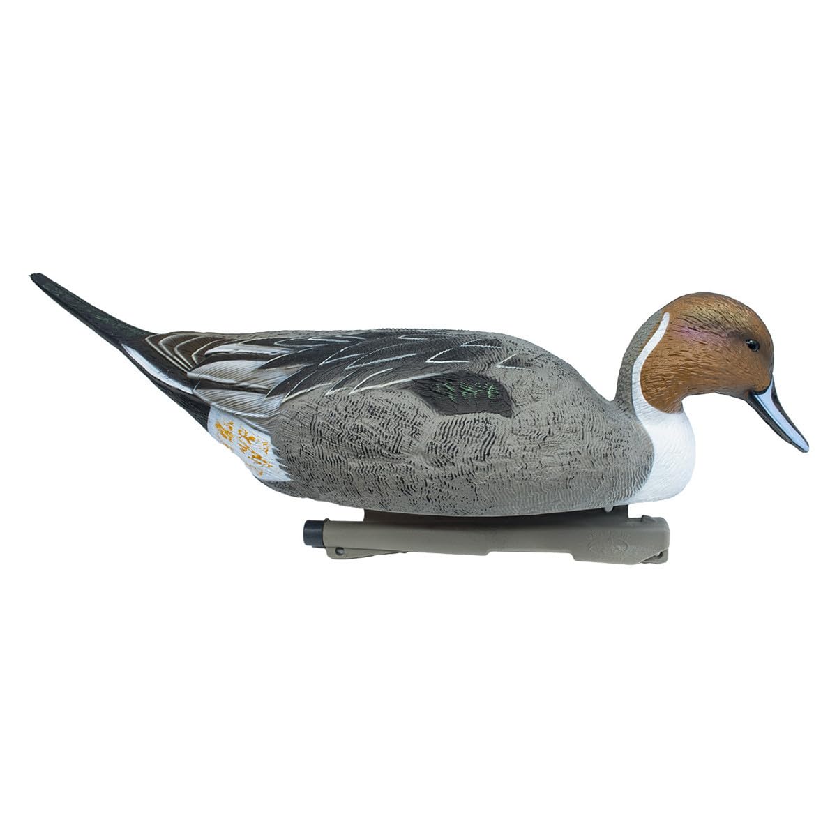 Close-up of paint detail on Rig Em Right pintail decoy highlighting realism.
