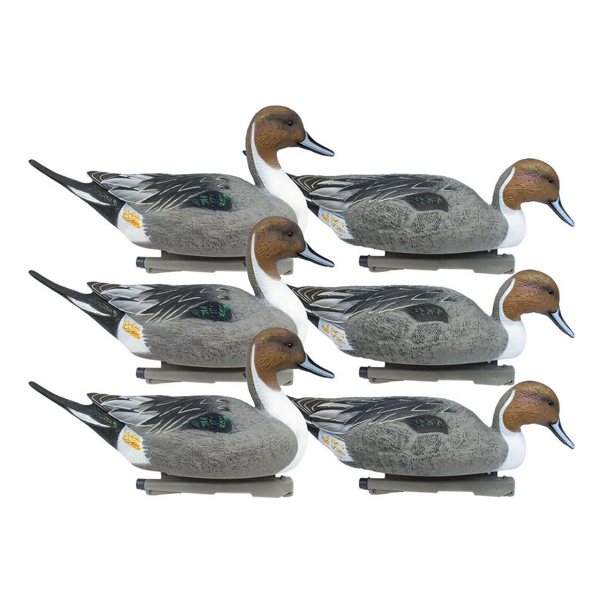 Rig Em Right pintail upright drake decoy with lifelike detail for convincing field spreads.