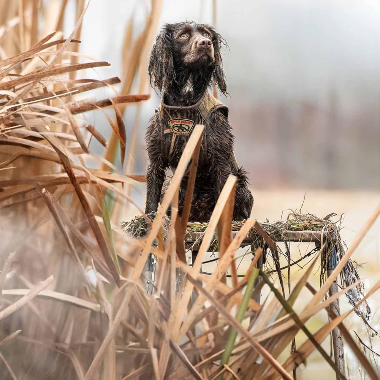 Rig'Em Right SwampBully matte camouflage blends with marsh grasses.