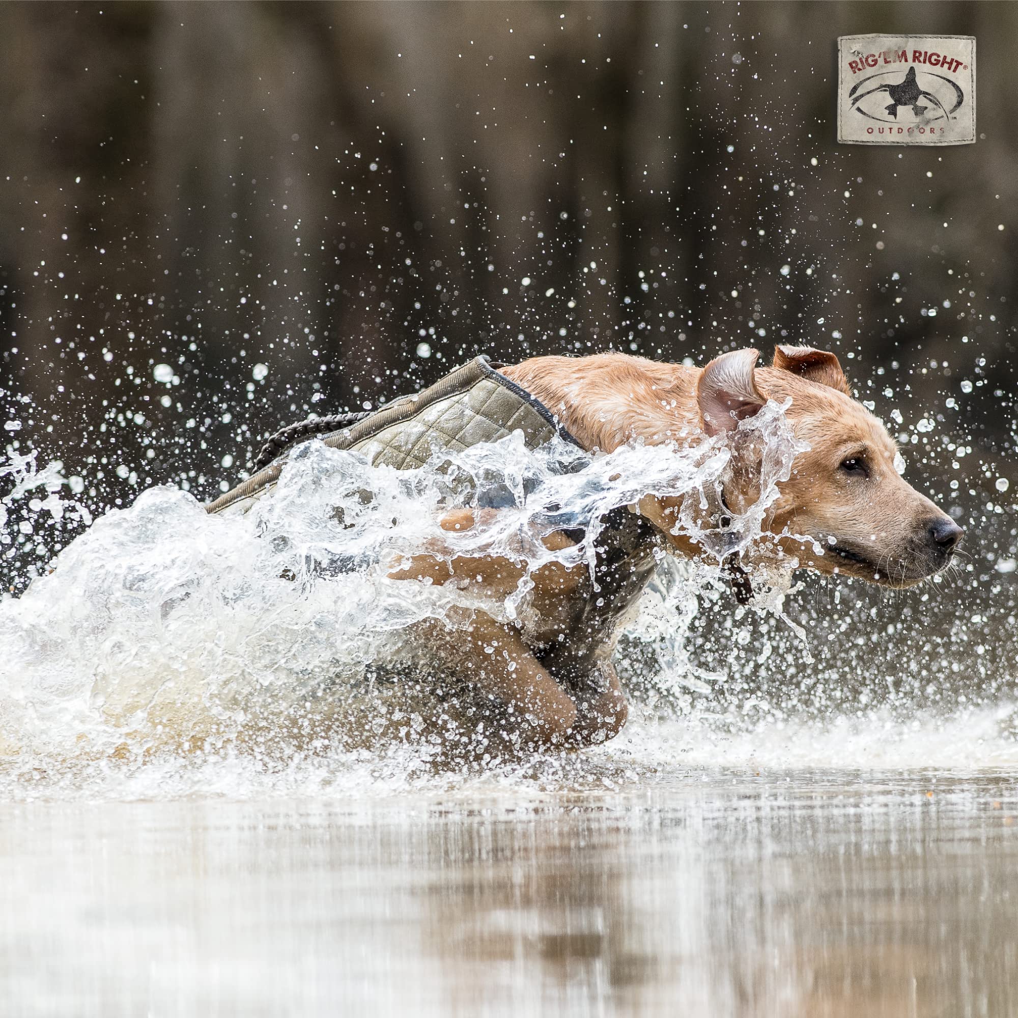 Rig Em Right Bloodline Elite vest demonstrates heavy-duty canvas for brush protection.