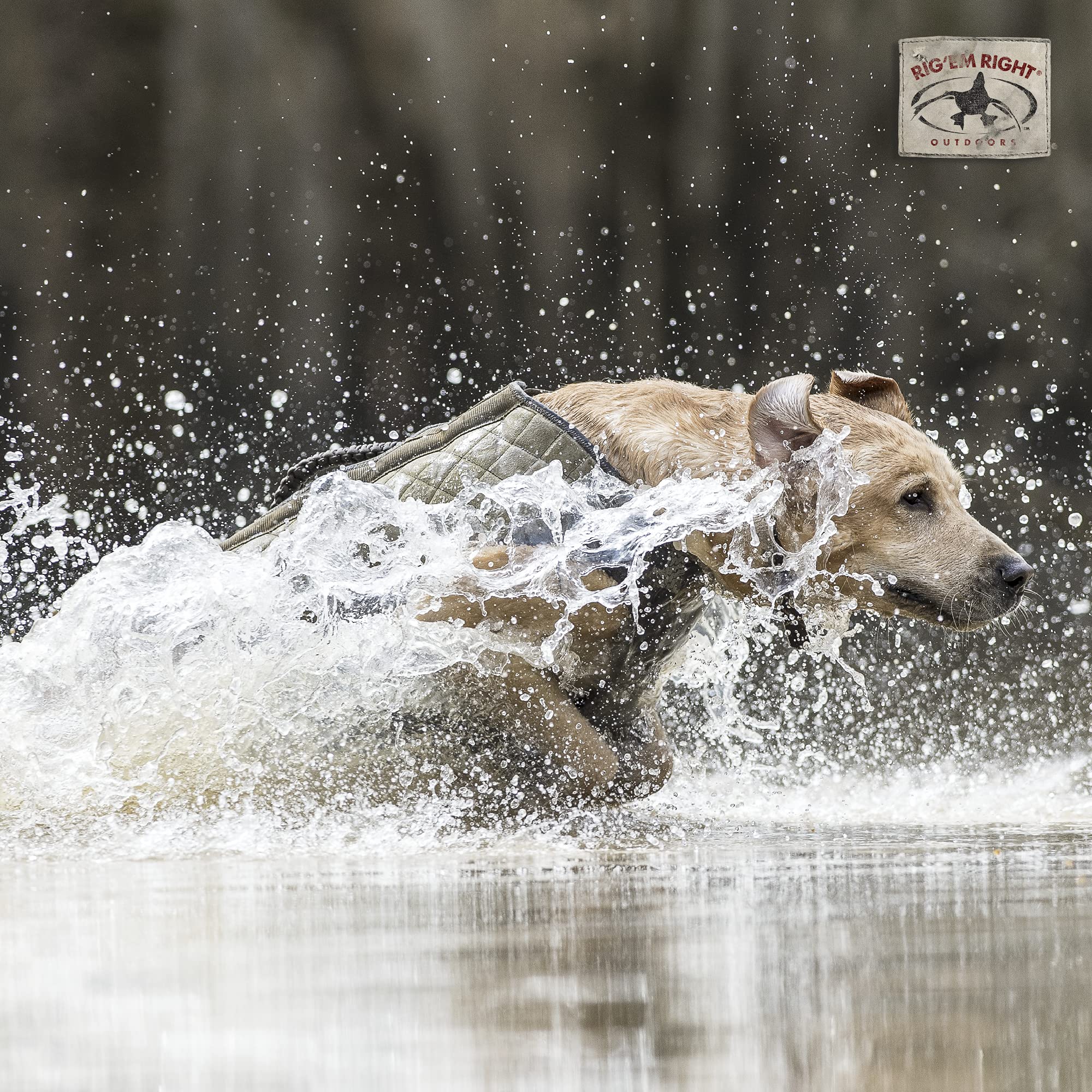 Rig'Em Right Bloodline Vest braided handle aids quick buddy-back in the blind.