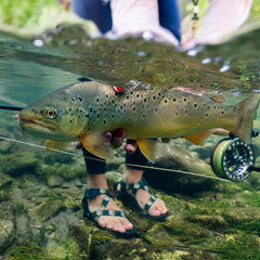 SlickCast coating close-up on the RIO Mainstream Trout DT6F for smoother casts.