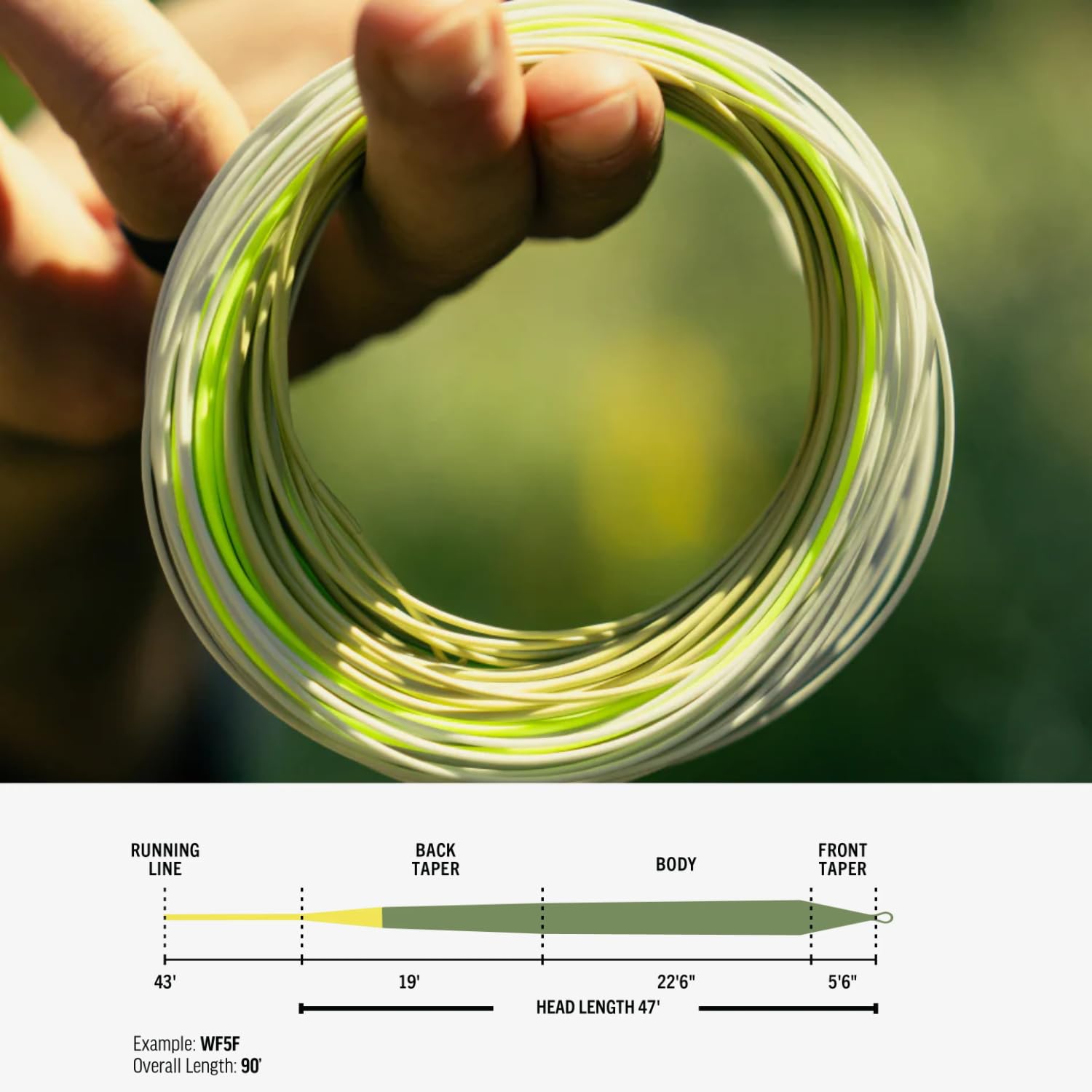 RIO Premier Gold line back-taper design showing stability for long casts