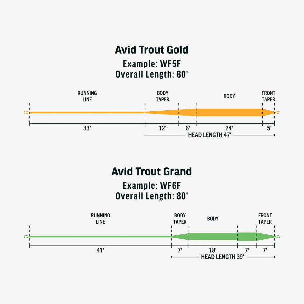 RIO PRODUCTS Avid Trout Gold line through rod guides demonstrating SlickCast durability