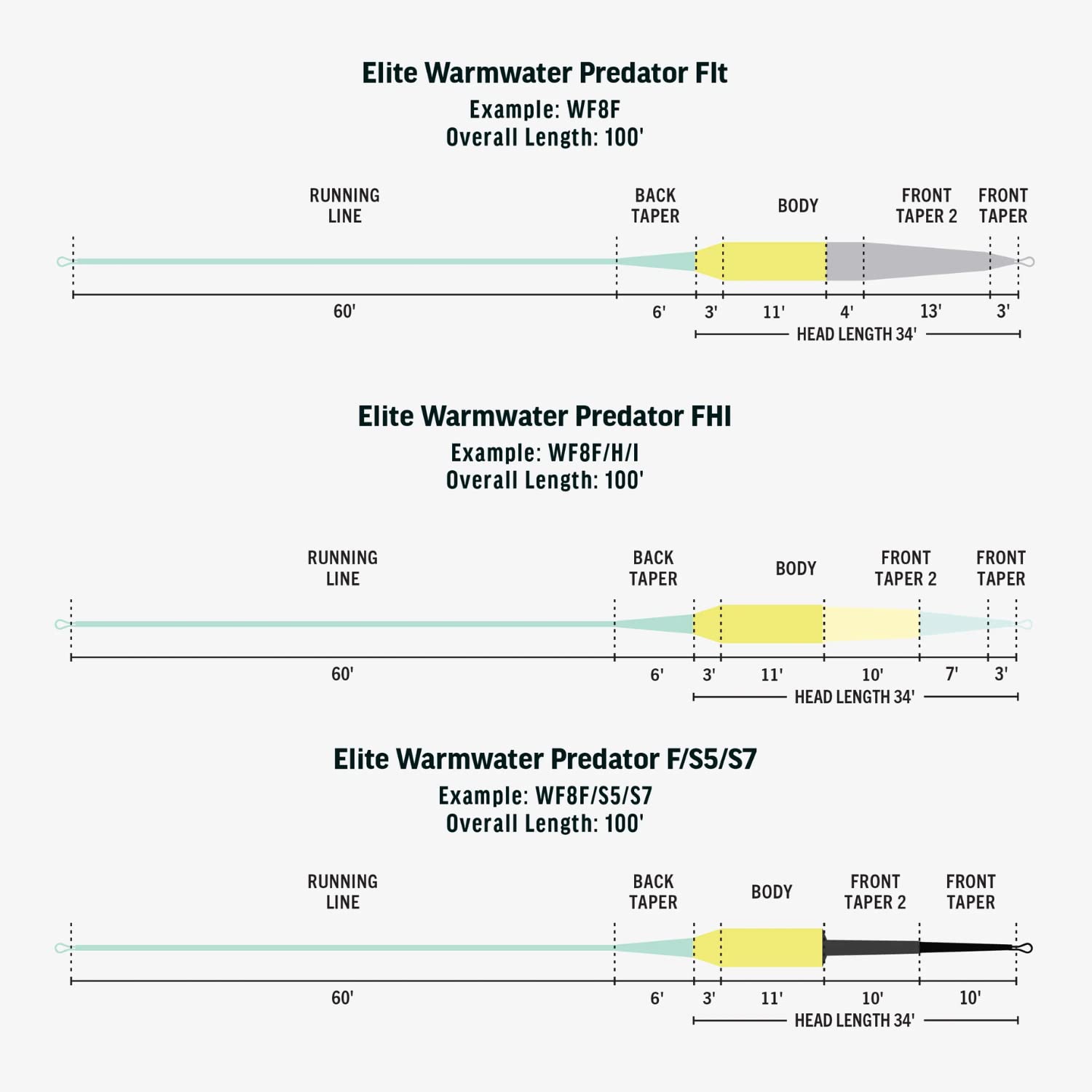 RIO Products Elite Warmwater Predator DirectCore low stretch for consistent feel