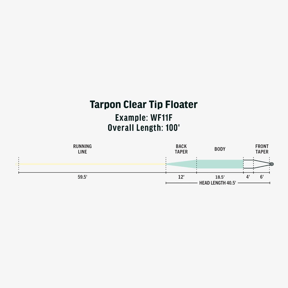 Overview of RIO Tarpon Clear Tip Floater taper for tarpon fishing