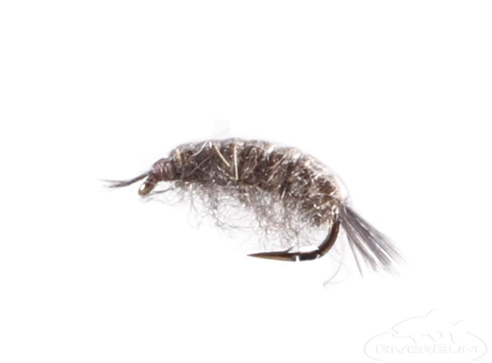 RiverBum Scud Amber size 20 large pattern for deeper pools
