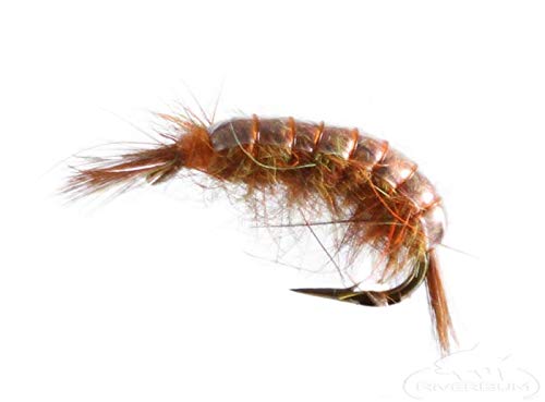RiverBum Scud Bead Head Orange size 10 high-visibility in currents