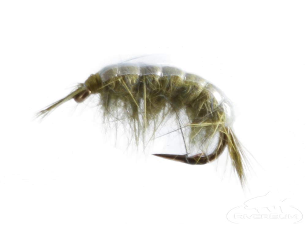RiverBum Sow Bug Biot Tan size 16 pattern for natural look in trout streams
