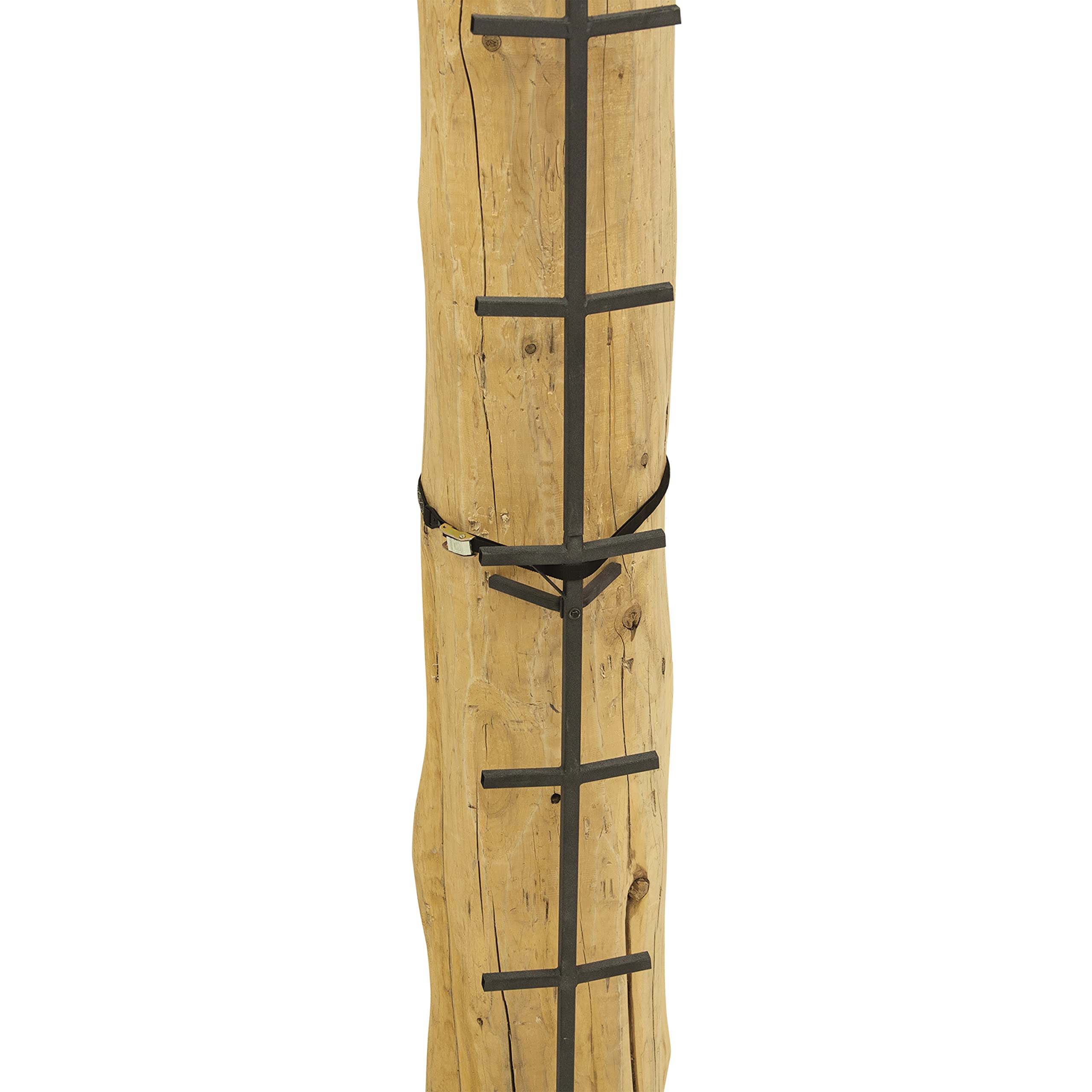 Rivers Edge Ardisam Big Foot 20ft Connect-N-Climb system for safe tree access