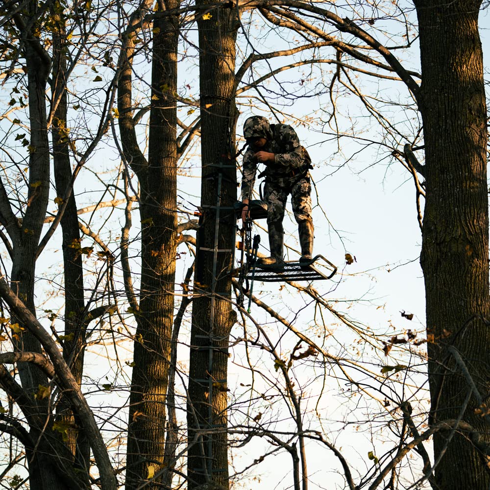 Ideal for tree-based workouts and elevated exploration in backyards