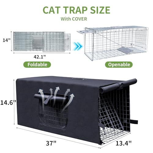 Rockever four corner clasps windproof design stabilizes shelter.