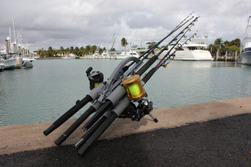 Bungee cords securing rods and evenly spaced rod tips during transport