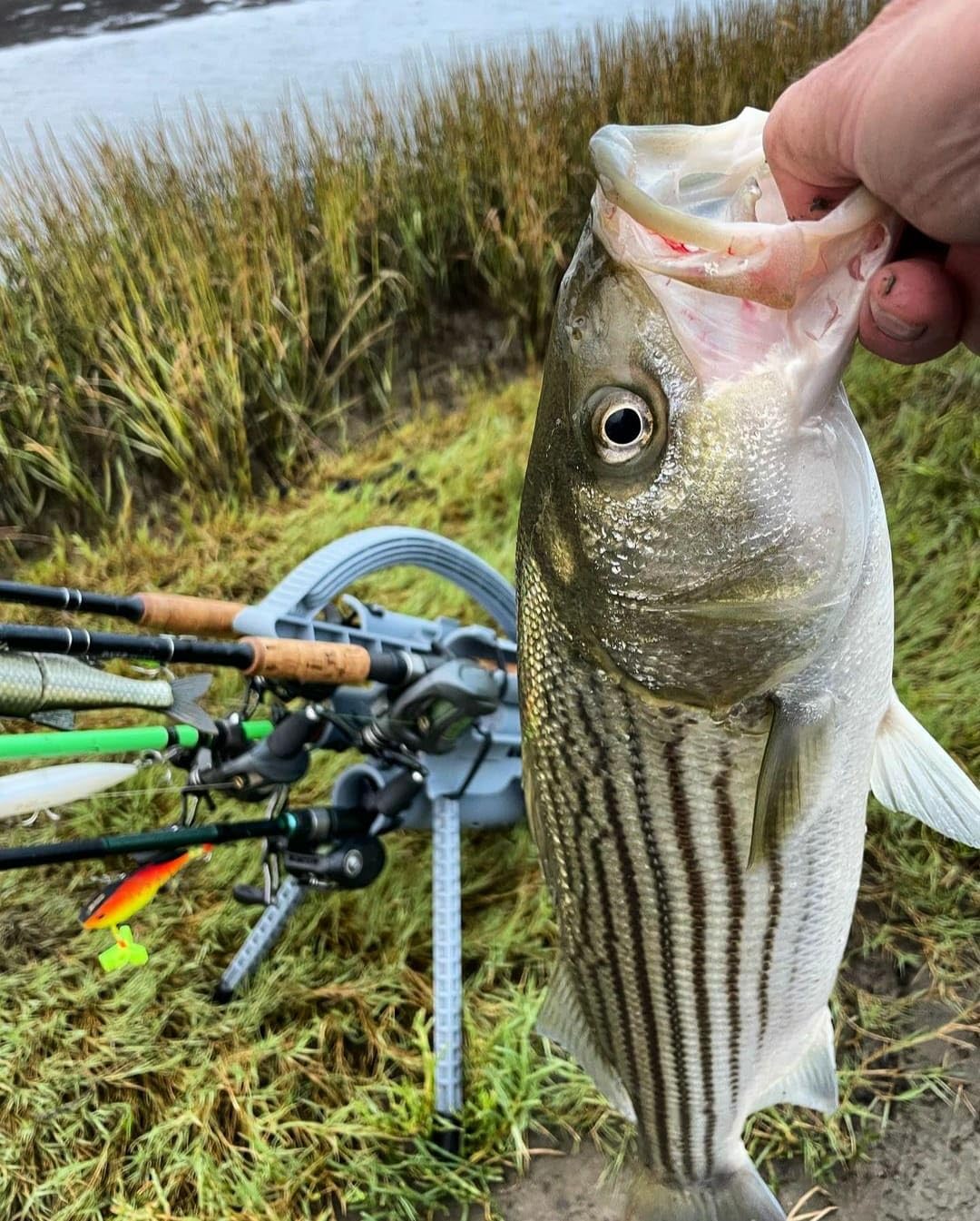 Rod carrier used on a boat/kayak setup for on-water protection