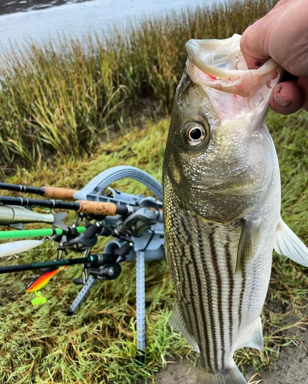Rod carrier used on a boat/kayak setup for on-water protection