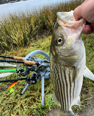 Rod-Runner Pro 5 offers a lightweight, compact storage solution.