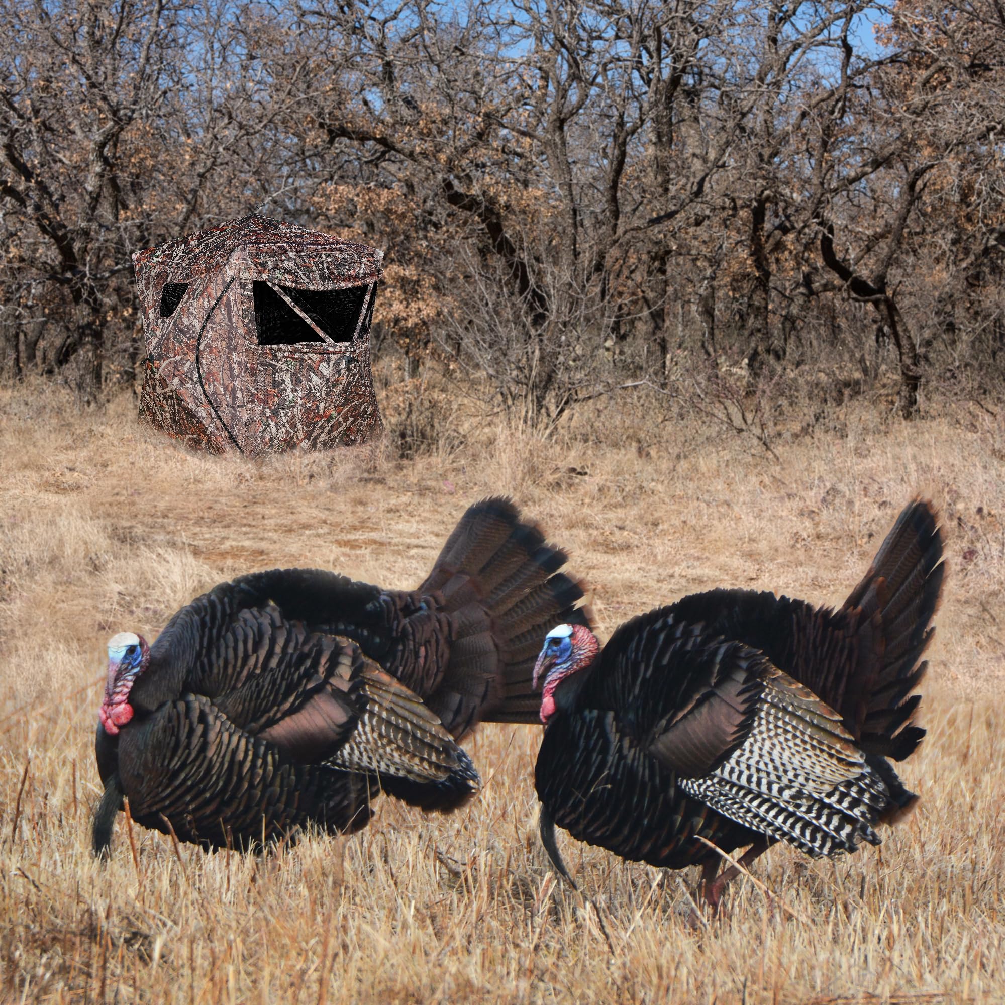 RODANNY hunting blind built with durable materials for rugged field use
