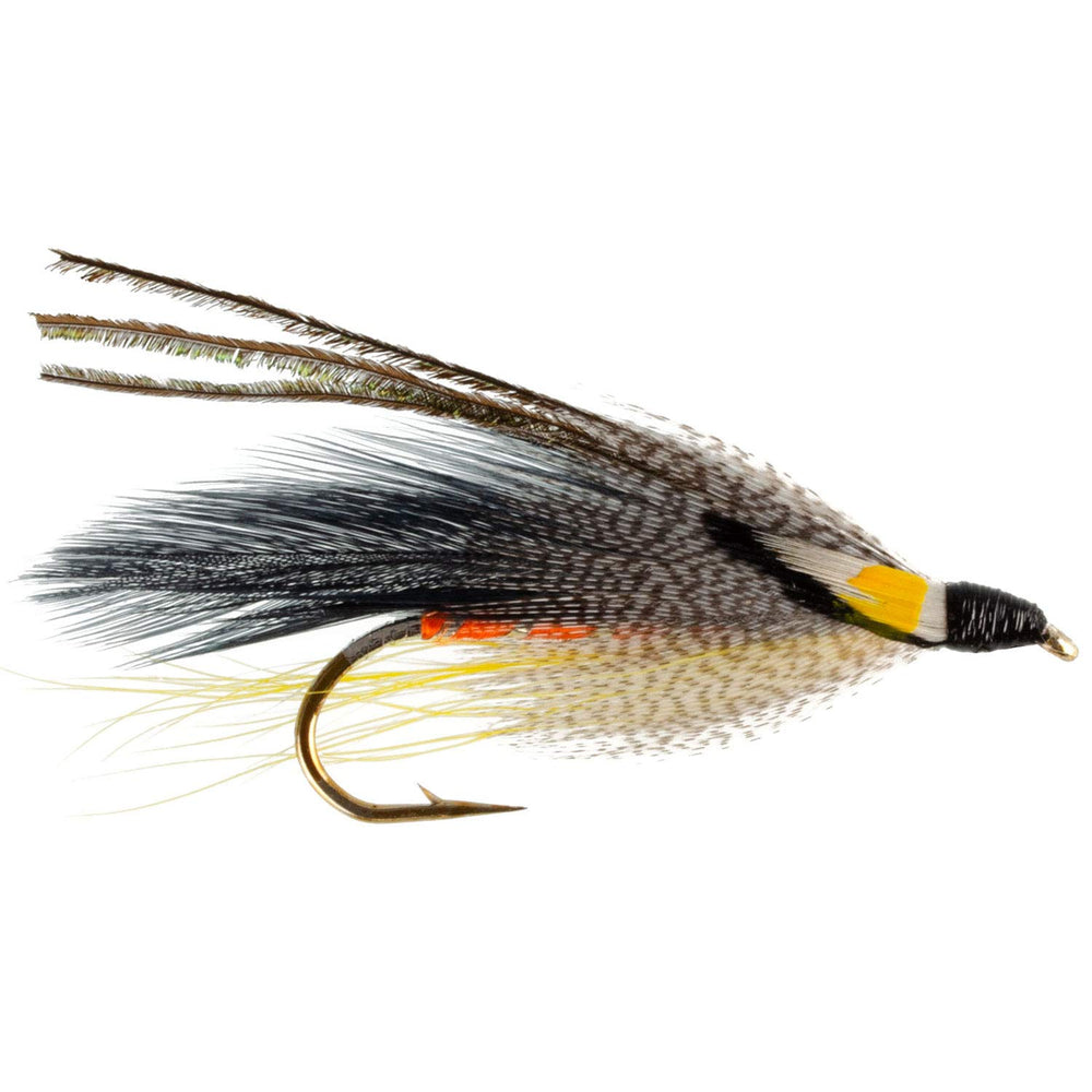 Royal Coachman Hairwing, Light Spruce, and Little Rainbow Trout streamer patterns
