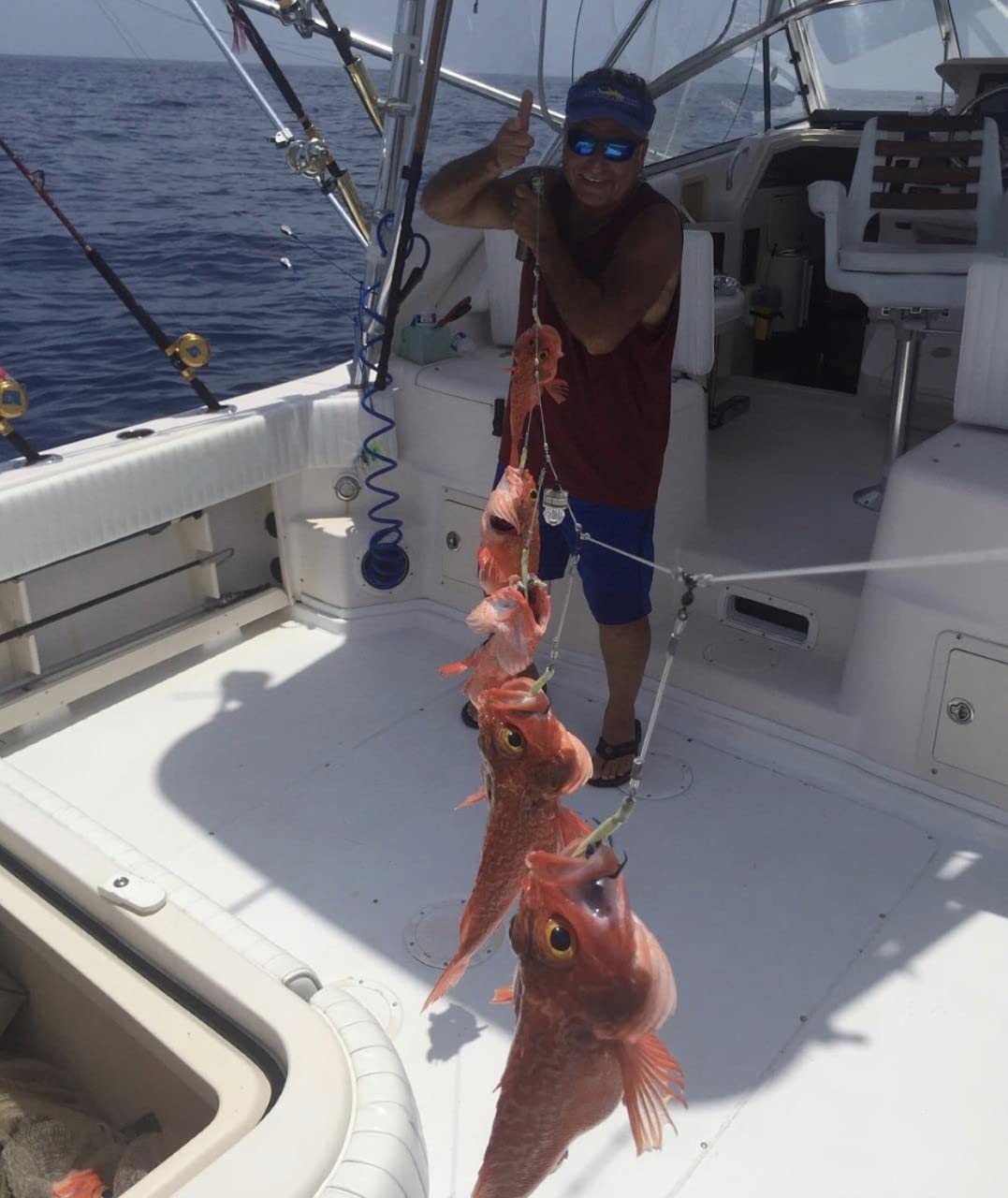 Breakaway snap swivel on deep drop rig