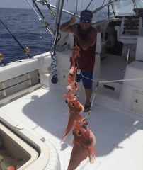 Breakaway snap swivel on deep drop rig